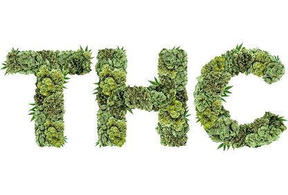 thc-logo